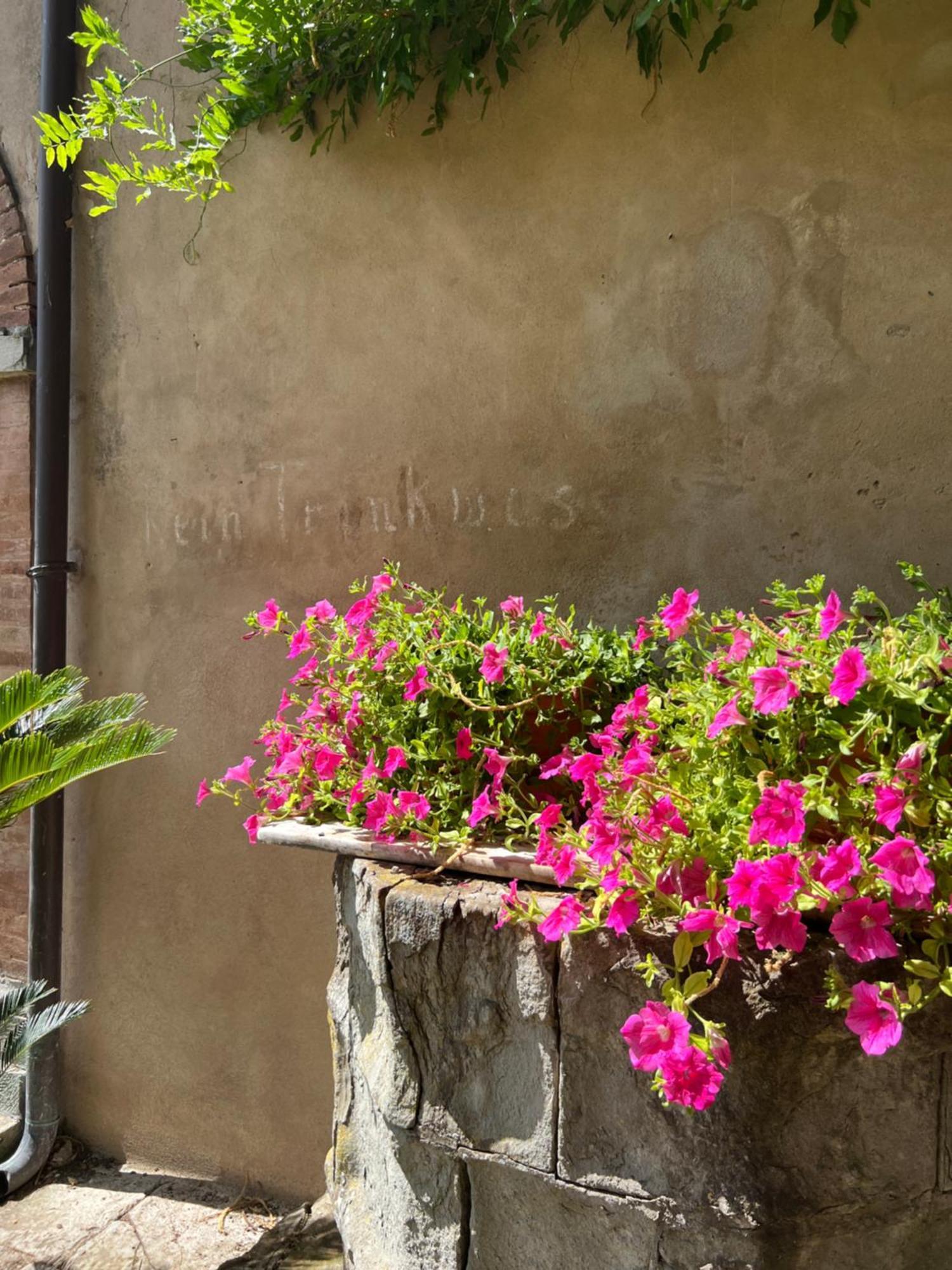 Bed and Breakfast Casa Barattini Zocchetta Exteriér fotografie